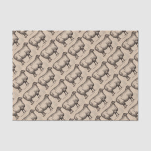 19th century print Cotswold sheep Tissue Paper