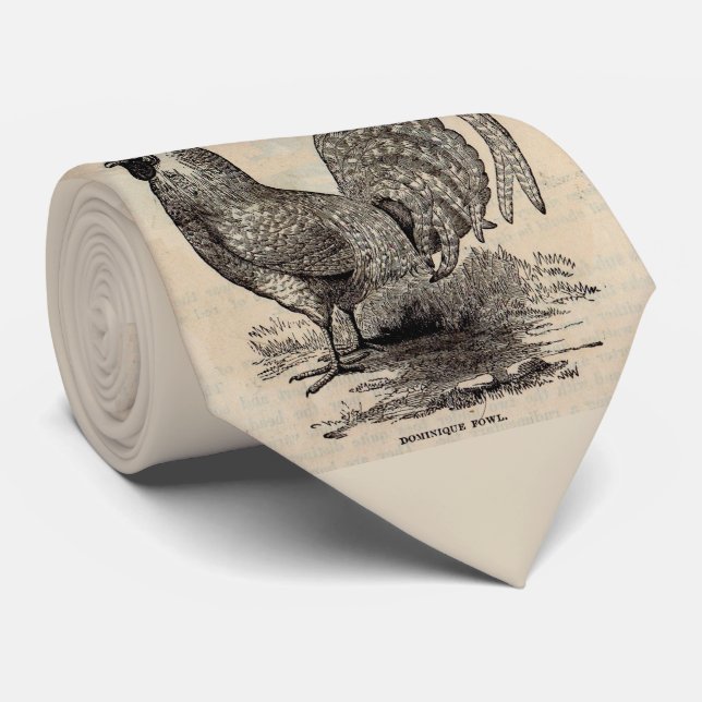 19th century print dominique fowl neck tie (Rolled)
