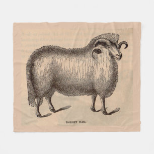 19th century print Dorset ram Fleece Blanket