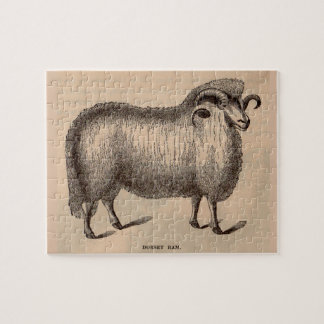19th century print Dorset ram Jigsaw Puzzle