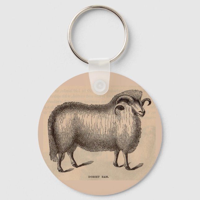 19th century print Dorset ram Keychain (Front)