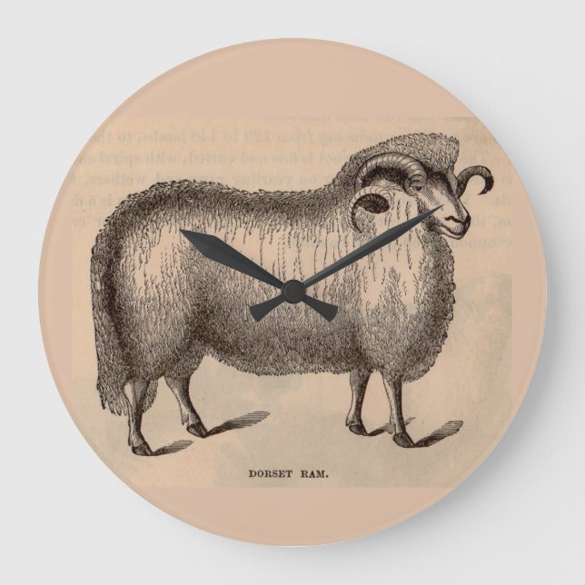 19th century print Dorset ram Large Clock (Front)