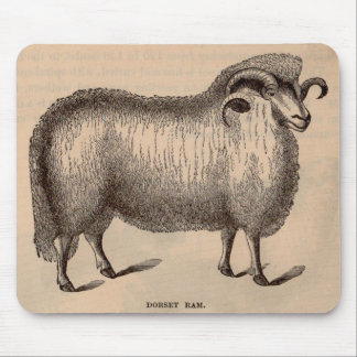 19th century print Dorset ram Mouse Pad