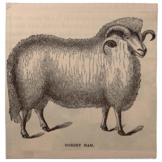 19th century print Dorset ram Napkin