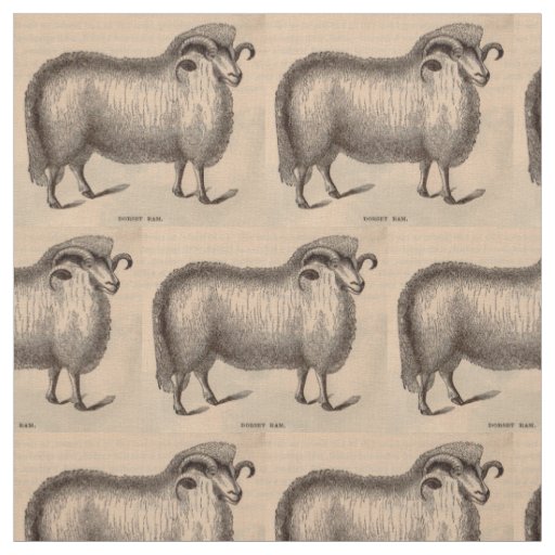 19th century print Dorset ram print Fabric