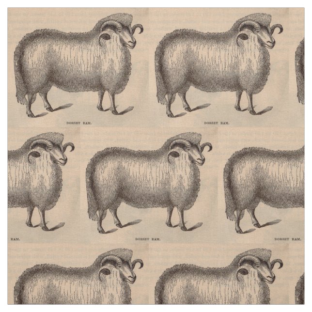 19th century print Dorset ram print Fabric (Swatch)