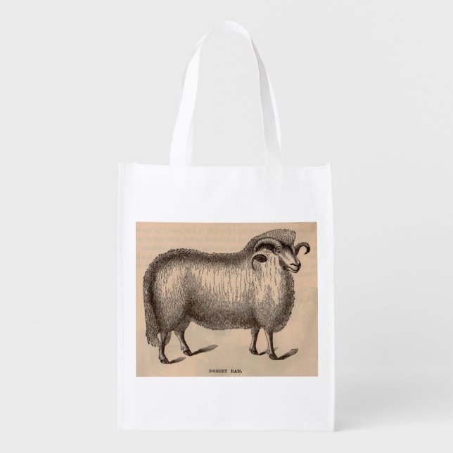 19th century print Dorset ram Reusable Grocery Bag (Front)