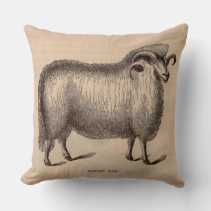 19th century print Dorset ram Throw Pillow