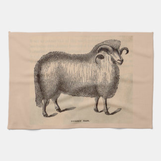 19th century print Dorset ram Towel