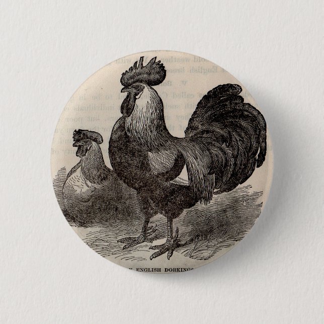 19th century print grey English dorkings chickens Button (Front)