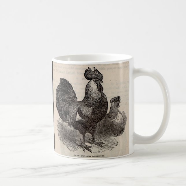 19th century print grey English dorkings chickens Coffee Mug (Right)