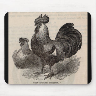 19th century print grey English dorkings chickens Mouse Pad