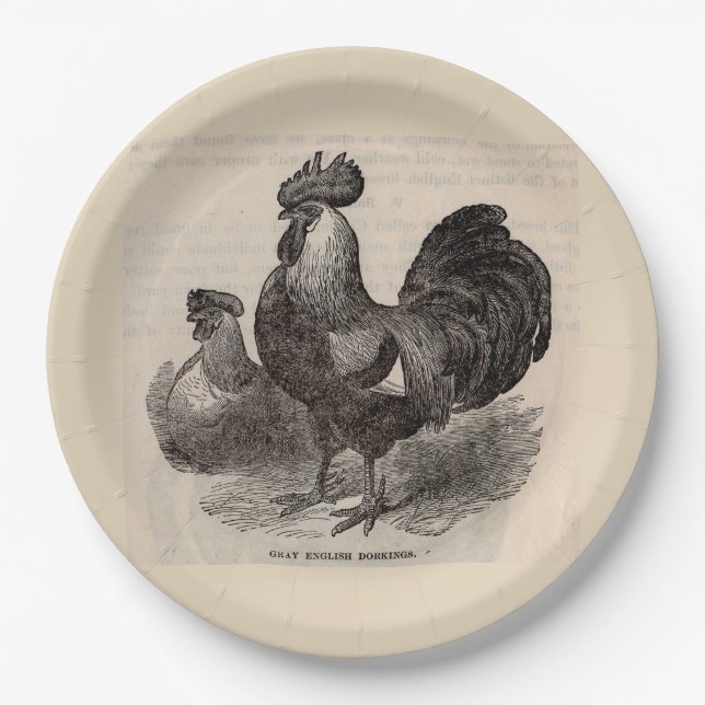 19th century print grey English dorkings chickens Paper Plates (Front)