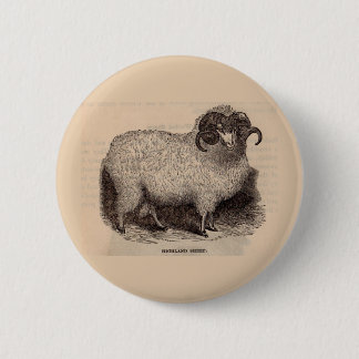19th century print Highland sheep Button