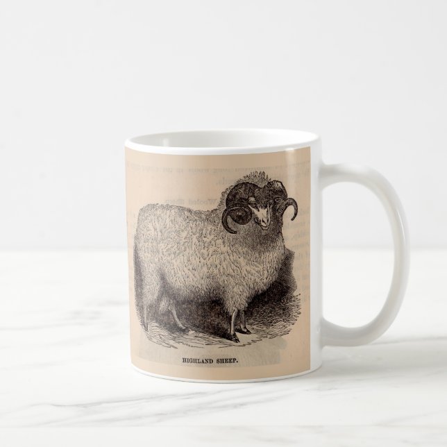 19th century print Highland sheep Coffee Mug (Right)