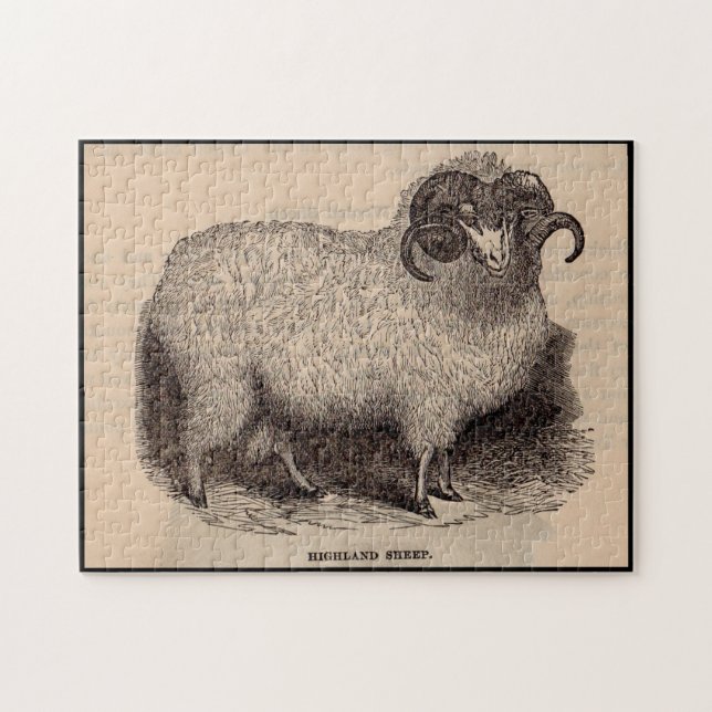 19th century print Highland sheep Jigsaw Puzzle (Horizontal)