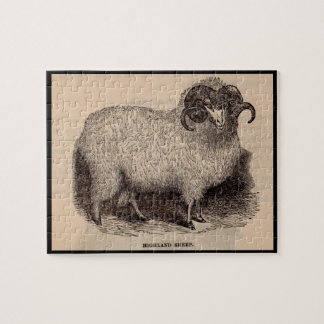 19th century print Highland sheep Jigsaw Puzzle