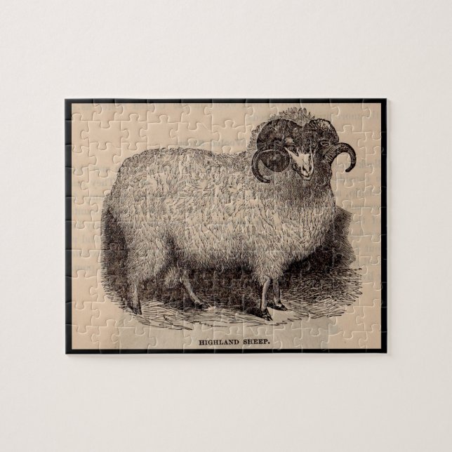 19th century print Highland sheep Jigsaw Puzzle (Horizontal)