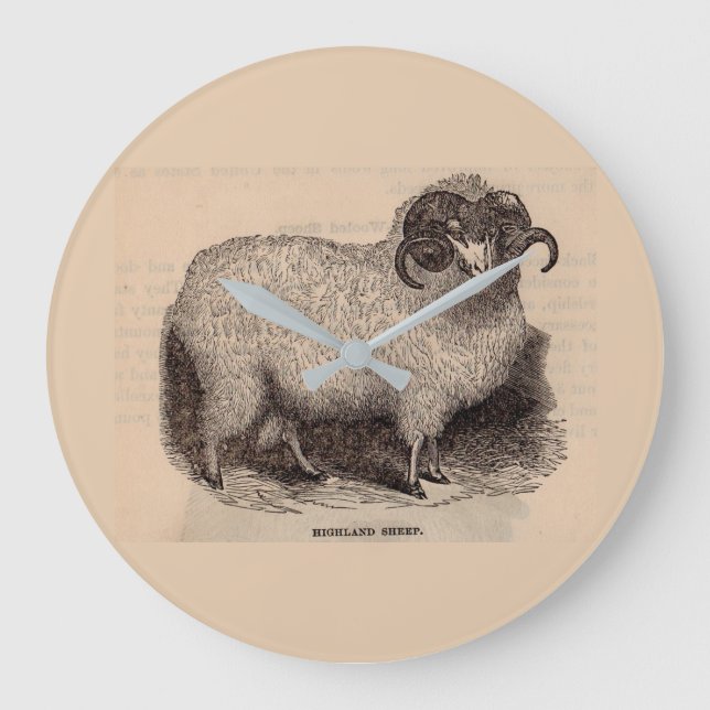 19th century print Highland sheep Large Clock (Front)