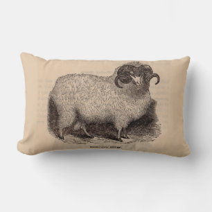 19th century print Highland sheep Lumbar Pillow