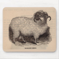 19th century print Highland sheep Mouse Pad