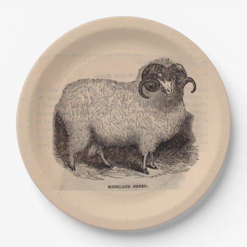 19th century print Highland sheep Paper Plates