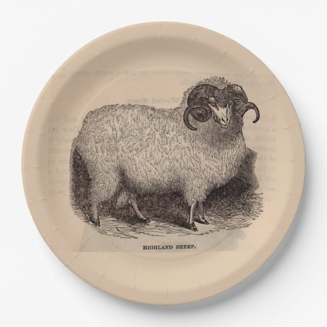 19th century print Highland sheep Paper Plates (Front)