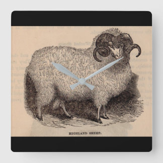 19th century print Highland sheep Square Wall Clock