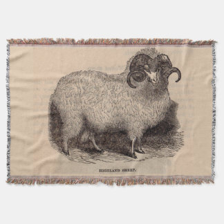 19th century print Highland sheep Throw Blanket