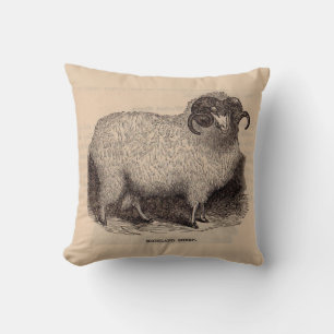 19th century print Highland sheep Throw Pillow