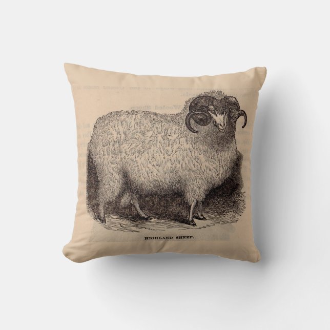 19th century print Highland sheep Throw Pillow (Front)