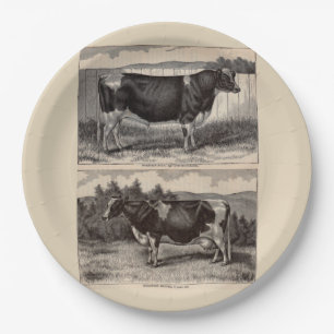 19th century print Holstein bull and heifer Paper Plates