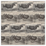 19th century print Holstein bull and heifer print Fabric