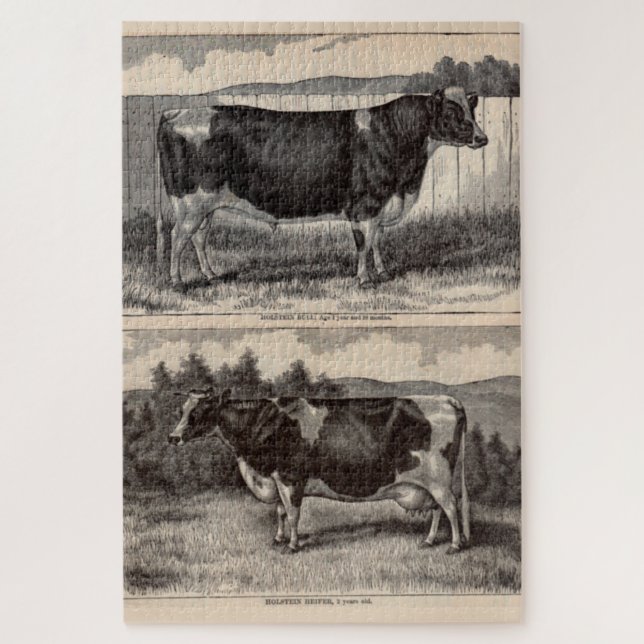 19th century print Holstein bull and Holstein cow Jigsaw Puzzle (Vertical)