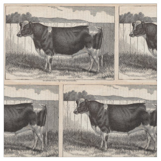 19th century print Holstein bull Fabric