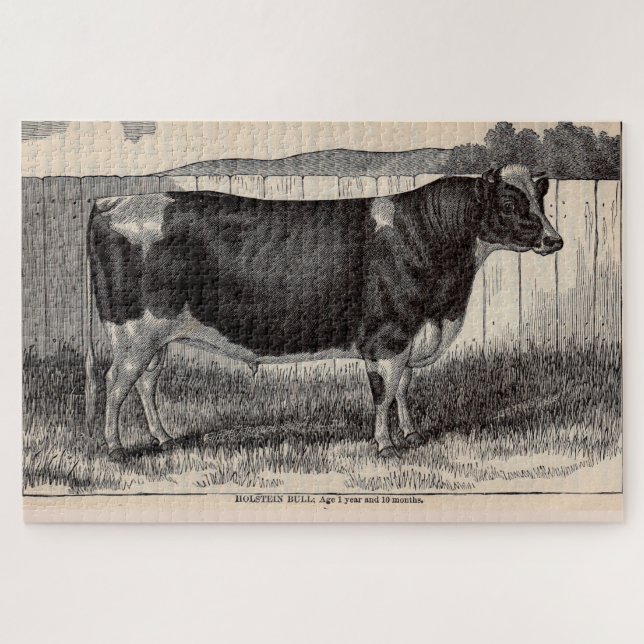 19th century print Holstein bull Jigsaw Puzzle (Horizontal)