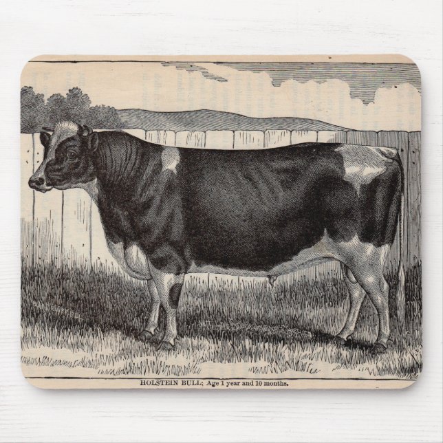 19th century print Holstein bull Mouse Pad (Front)