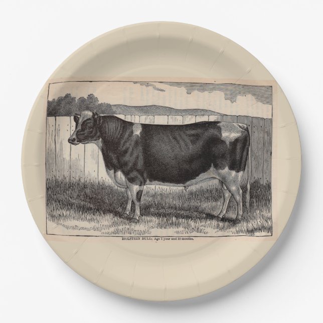 19th century print Holstein bull print Paper Plates (Front)