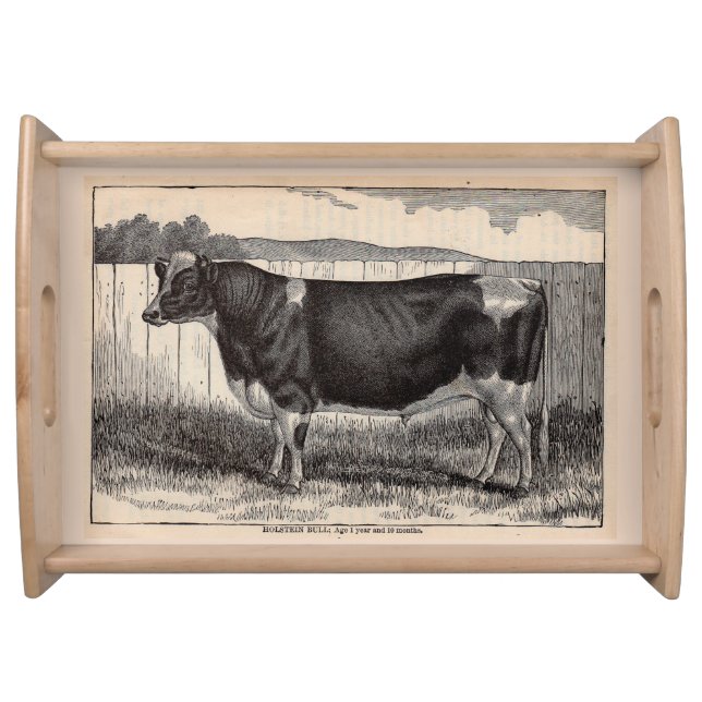 19th century print Holstein bull Serving Tray (Front)