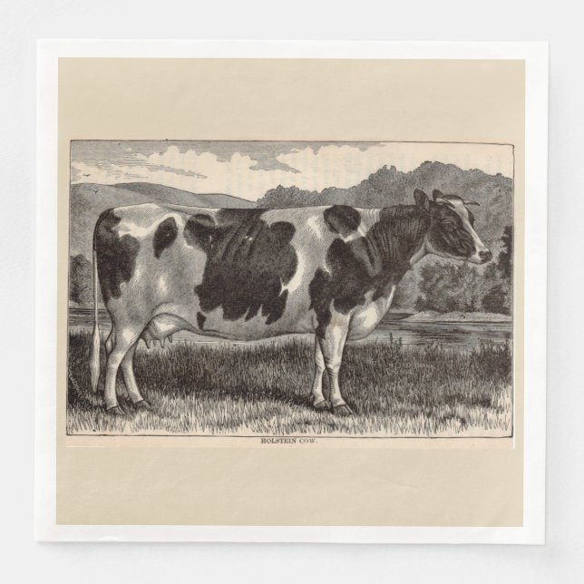 19th century print Holstein cow Paper Dinner Napkins (Front)