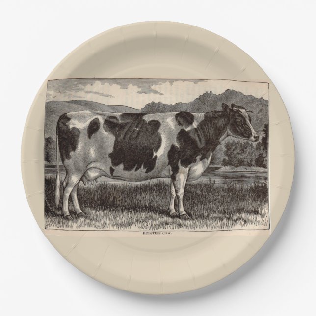19th century print Holstein cow Paper Plates (Front)