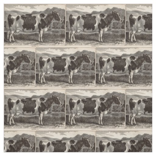 19th century print Holstein heifer Fabric