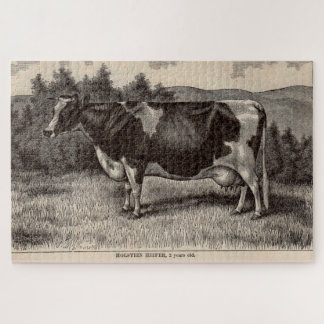 19th century print Holstein heifer Jigsaw Puzzle