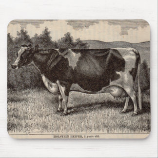 19th century print Holstein heifer Mouse Pad