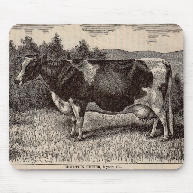 19th century print Holstein heifer Mouse Pad (Front)