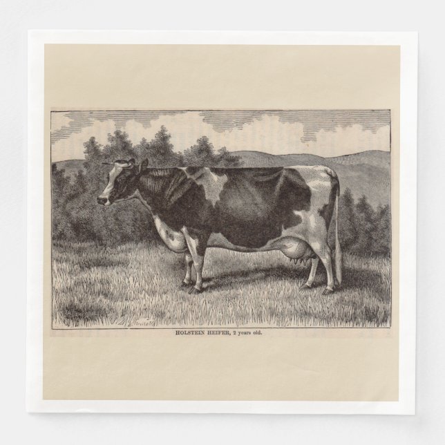 19th century print Holstein heifer Paper Dinner Napkins (Front)