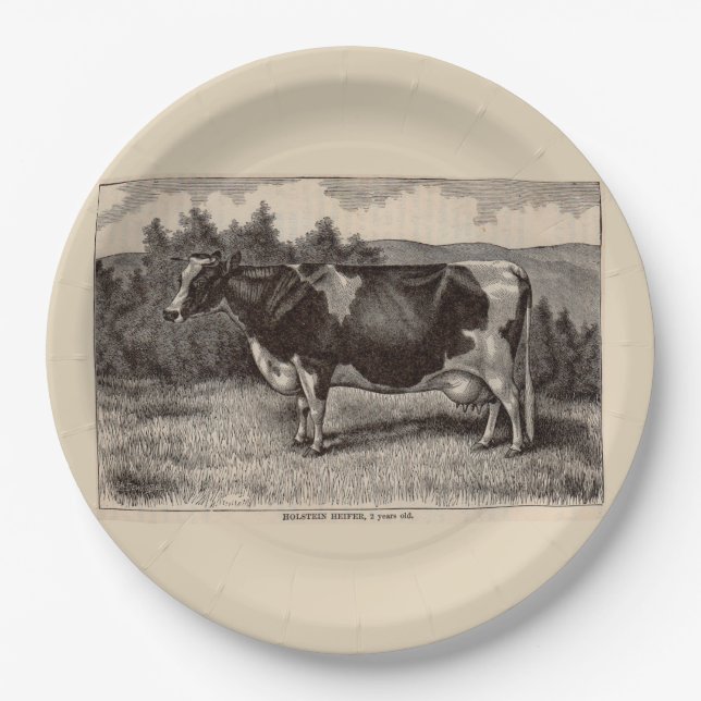 19th century print Holstein heifer Paper Plates (Front)