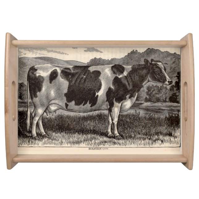 19th century print Holstein heifer Serving Tray (Front)