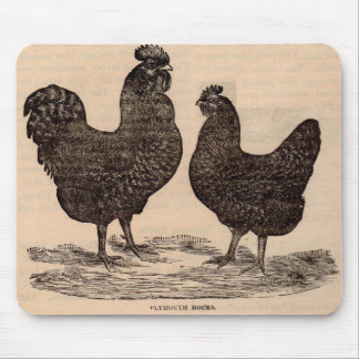 19th century print Plymouth Rock hen and rooster Mouse Pad