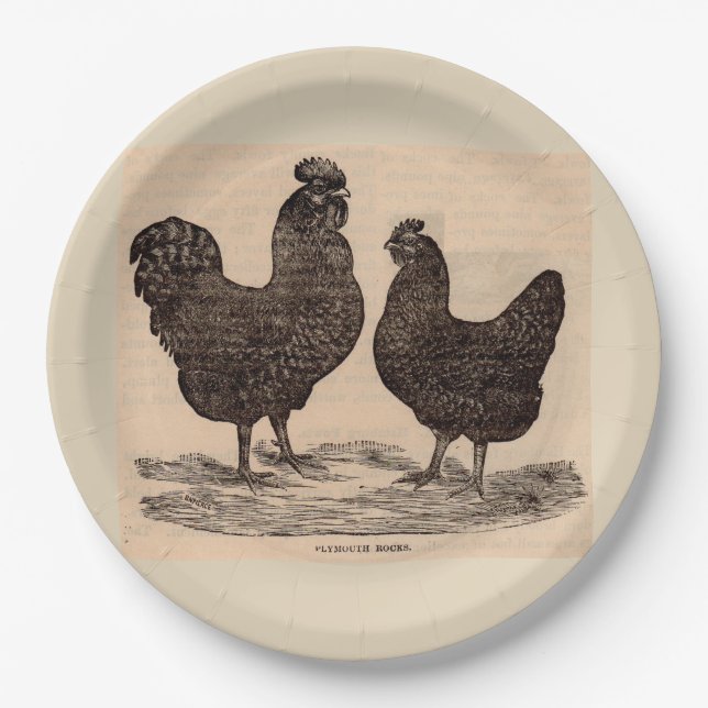 19th century print Plymouth Rock hen and rooster Paper Plates (Front)